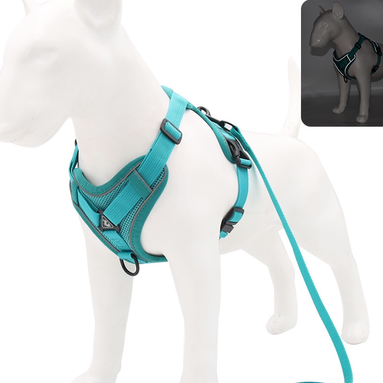 Lake blue reflective mesh dog harness with matching leash